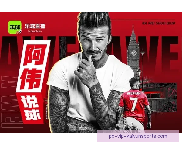 乐球直播无插件高清赛事全覆盖实时数据与互动体验平台专业分析解说